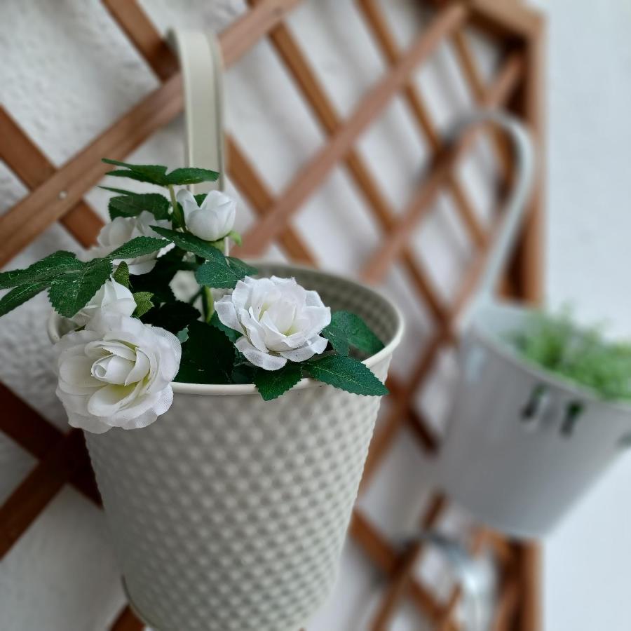 Bougainvillea Views - Μπουκαμβίλια Θέα Sivota  Ngoại thất bức ảnh